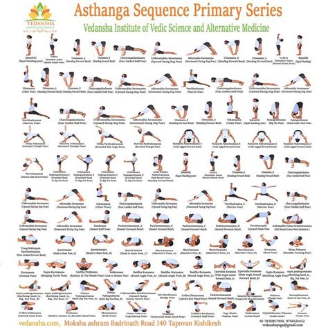 Learn Ashtanga Primary Series with us! (With images) | Ashtanga ...