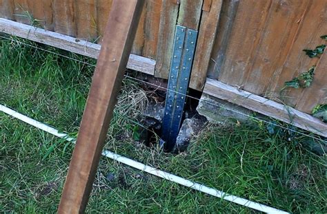 How To Repair A Fence That Is Leaning Outward - Williams Oftere