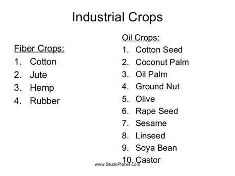 Industrial crops