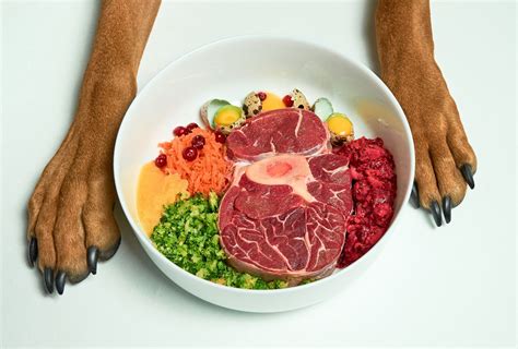 10 Homemade Raw Dog Food Recipes [Vet Approved] | PawLeaks