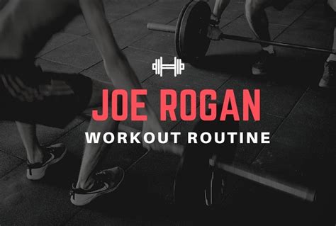 Joe Rogan Workout Routine And Diet Plan 2024