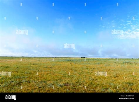 Green grass pasture under blue sky with clouds. Colorado plains, very ...