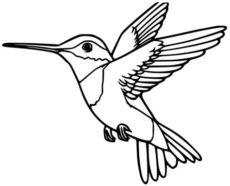 Hummingbird Printable For Kids coloring page - Download, Print or Color Online for Free