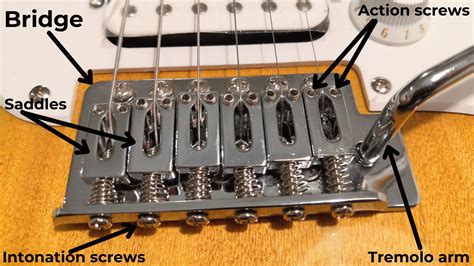 Different Guitar Bridge Types - Your Ultimate Bridge Guide