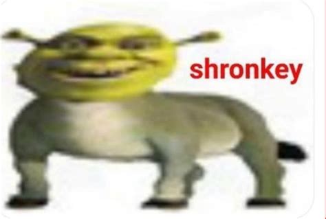 shronkey : r/memes