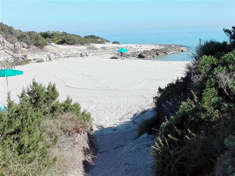 eterogeneo orientale Raccogliere spiagge attrezzate marina di ostuni ...