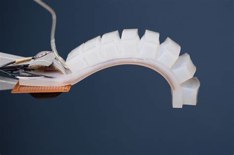 Open Soft Robotics Research - PLOS Collections