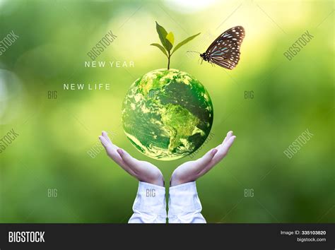 Ecology Environment Image & Photo (Free Trial) | Bigstock