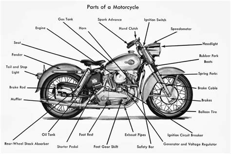 English Vocabulary: Vehicle Parts & Accessories - ESL Buzz