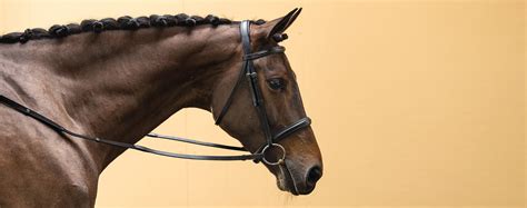 Horse Bridle: Horse Bridle Replacement Parts