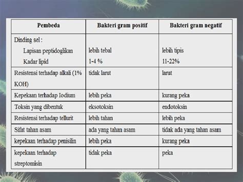 Bakteri GRAM negatif dan bakteri gram positif