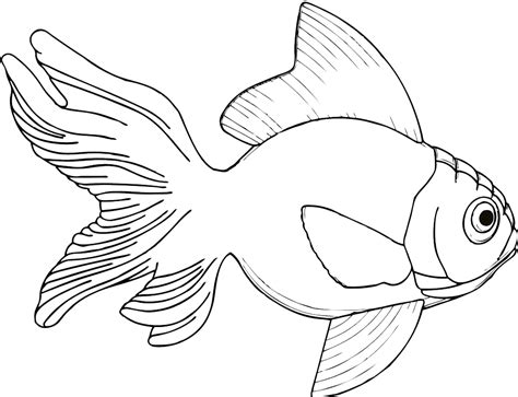 Fish Coloring Png Coloring Pages