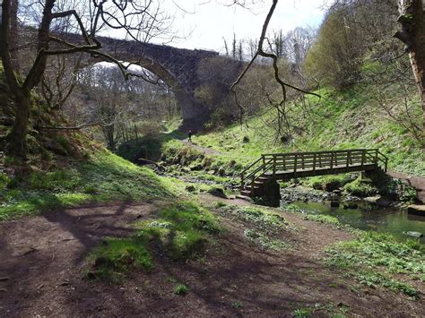 Causey Arch near Stanley, Co Durham | Beautiful places, Landscape, Tyne ...