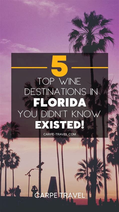 palm trees with the words 5 top wine destinations in florida you didn't know excited