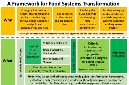 Why, What, and How: A Framework for Transforming Food Systems - Foresight4Food