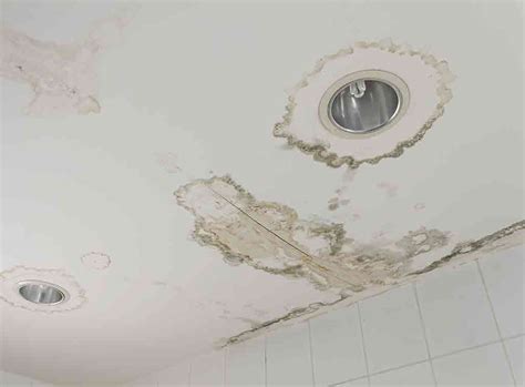 How Much Does Ceiling Water Damage Repair Cost in 2024? | Checkatrade