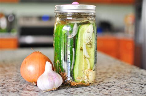 Homemade Lacto-Fermented Dill Pickle Recipe - The Fermentation Adventure