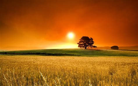 Country Sunset Wallpapers - 4k, HD Country Sunset Backgrounds on WallpaperBat