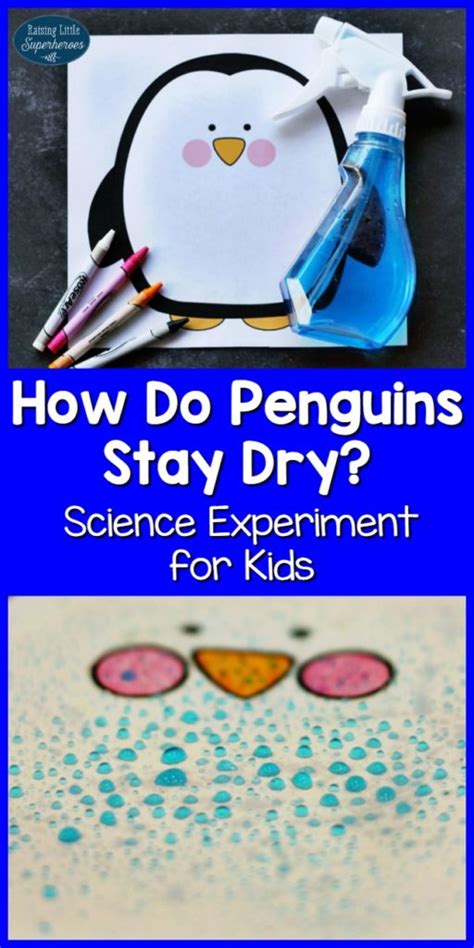 How Do Penguins Stay Dry? Penguin Feathers Science Experiment