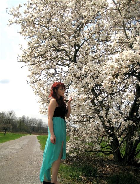 Mishy-Me: When the Magnolia Trees Bloom