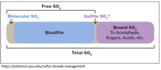 Sulfur Dioxide Measurement and Overestimation in Red Wine | Midwest ...