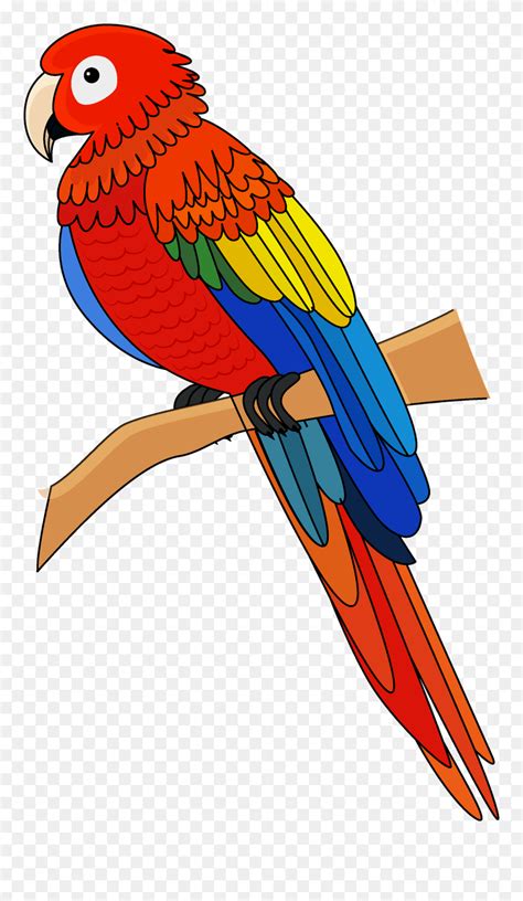 Macaw Clipart (#5292158) - PinClipart