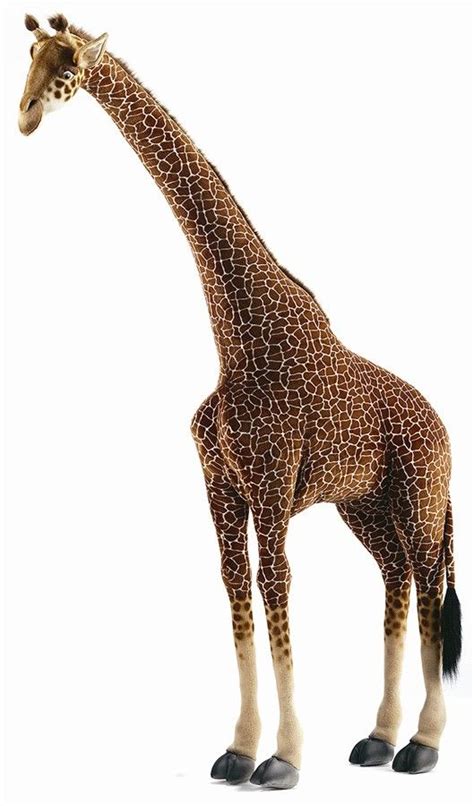 Large Life Size Standing Giraffe Plush Stuffed Animal | Life size giraffe, Giant stuffed animals ...