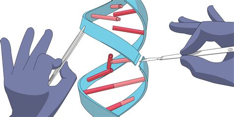 Justice in CRISPR/Cas9 Research and Clinical Applications | Journal of ...