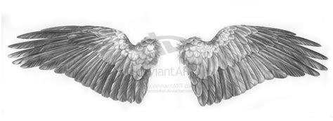 crow wings by glamrodhel on deviantART | Wings drawing, Crows drawing ...