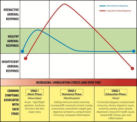 Manage Stress and Cortisol Levels Before You're Too Tired - iNaturally