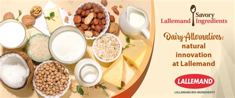 Natural innovation for dairy alternatives | Lallemand Bio-ingredients