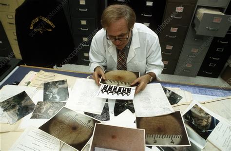 Forensic pathology - jttiklo