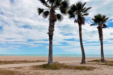 Are Dogs Allowed At The Beach In Corpus Christi Texas