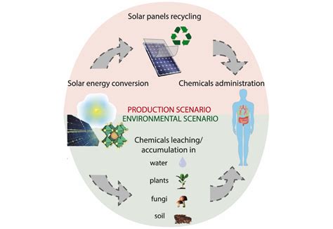 Researchers examine perovskite solar cells' toxicity and suggest risks ...