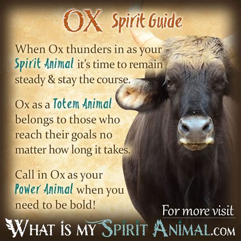 Ox Spirit, Totem, & Power Animal Symbolism Meaning - What Is My Spirit ...