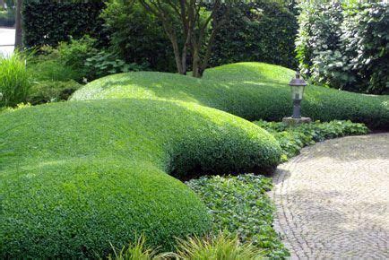 shaped boxwood #modernlandscapedesign | Garden landscape design, Garden ...