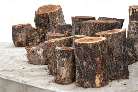 Isolate pile of timber logs from rain tree. 7548954 Stock Photo at Vecteezy