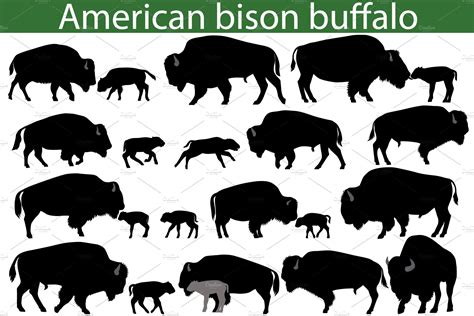 American bison buffalo silhouettes | Animal Illustrations ~ Creative Market