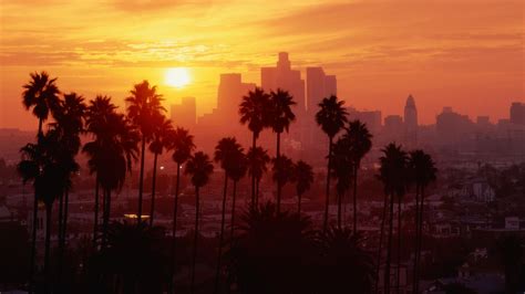 Los Angeles, Sunset, Palm trees Wallpapers HD / Desktop and Mobile Backgrounds