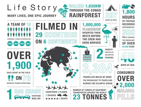 Life Story Infographic: Many Lives, One Epic Journey - Extras - Life Story