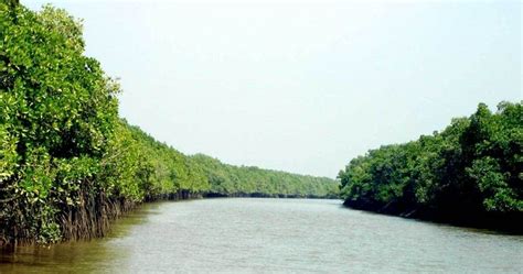 6 famous wildlife sanctuaries in Odisha