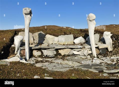 historic Inuit house from the Thule Culture made out of whale bones Stock Photo: 61170370 - Alamy