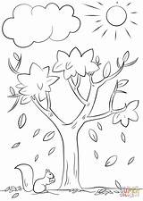 Free Printable Fall Tree Coloring Pages  Templates sketch template