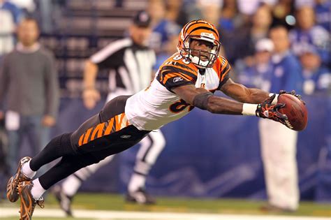 Bengals Ring of Honor candidates: Chad Johnson - Cincy Jungle