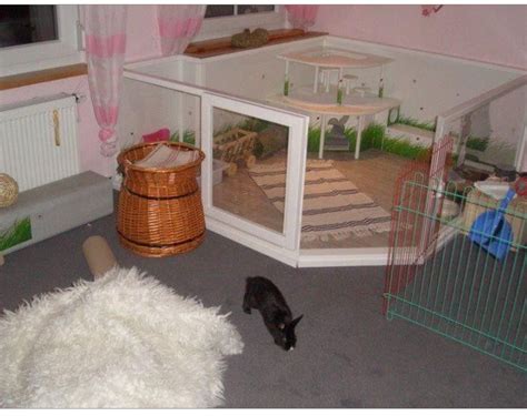 Rabbit Rescue Sanctuary: HOUSING YOUR PET RABBIT - INDOOR RABBIT PLAYPENS