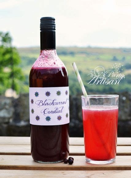 Blackcurrant Cordial recipe - The Party Artisan | Homemade drinks, Cordial recipe, Alcohol free ...