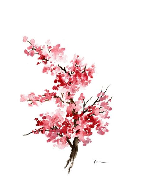 Cherry blossom branch Watercolor painting Pink by ColorWatercolor