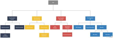 Organogram Example - You can edit this template and create your own ...