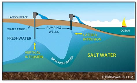 AE572/AE572: Saltwater Intrusion and Flooding: Risks to South Florida’s ...