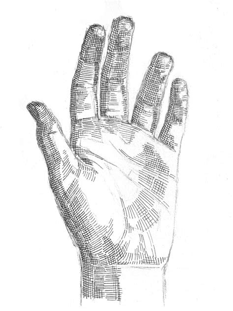 Crosshatching: How to draw a hand - Artists & Illustrators